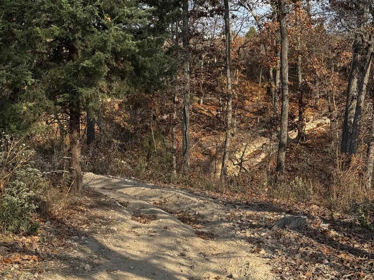 Deer Lick trail photo