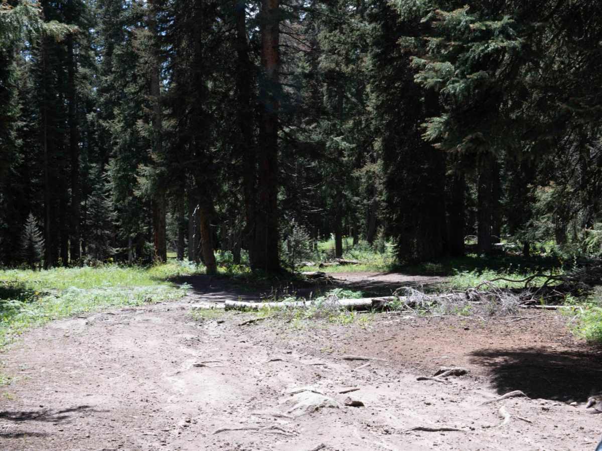 Ellington Creek Road/ FR 128 photo 4