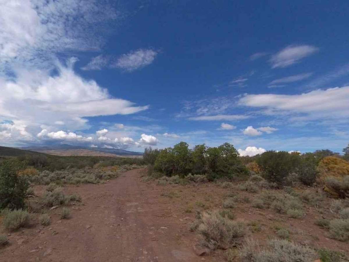 Rose Meadows- FS 40058 photo 6