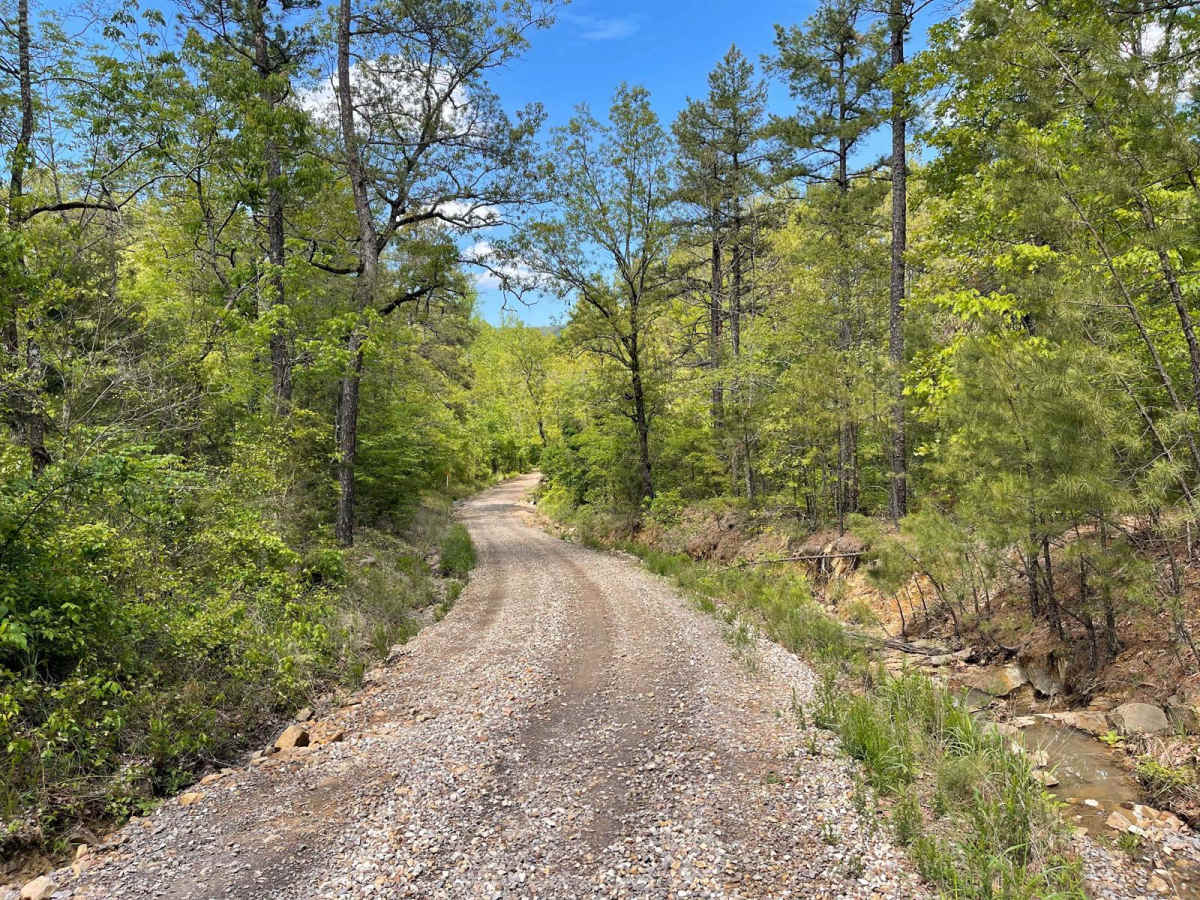 Scenic Richmond Road photo 3