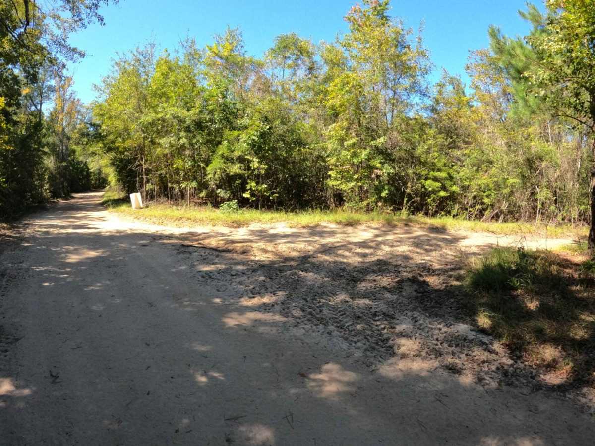 Uncle John's Pass trail photo