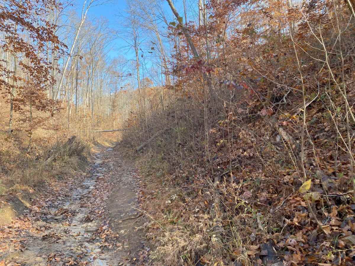 Blue Creek Road - Tar Hollow Trails photo 2