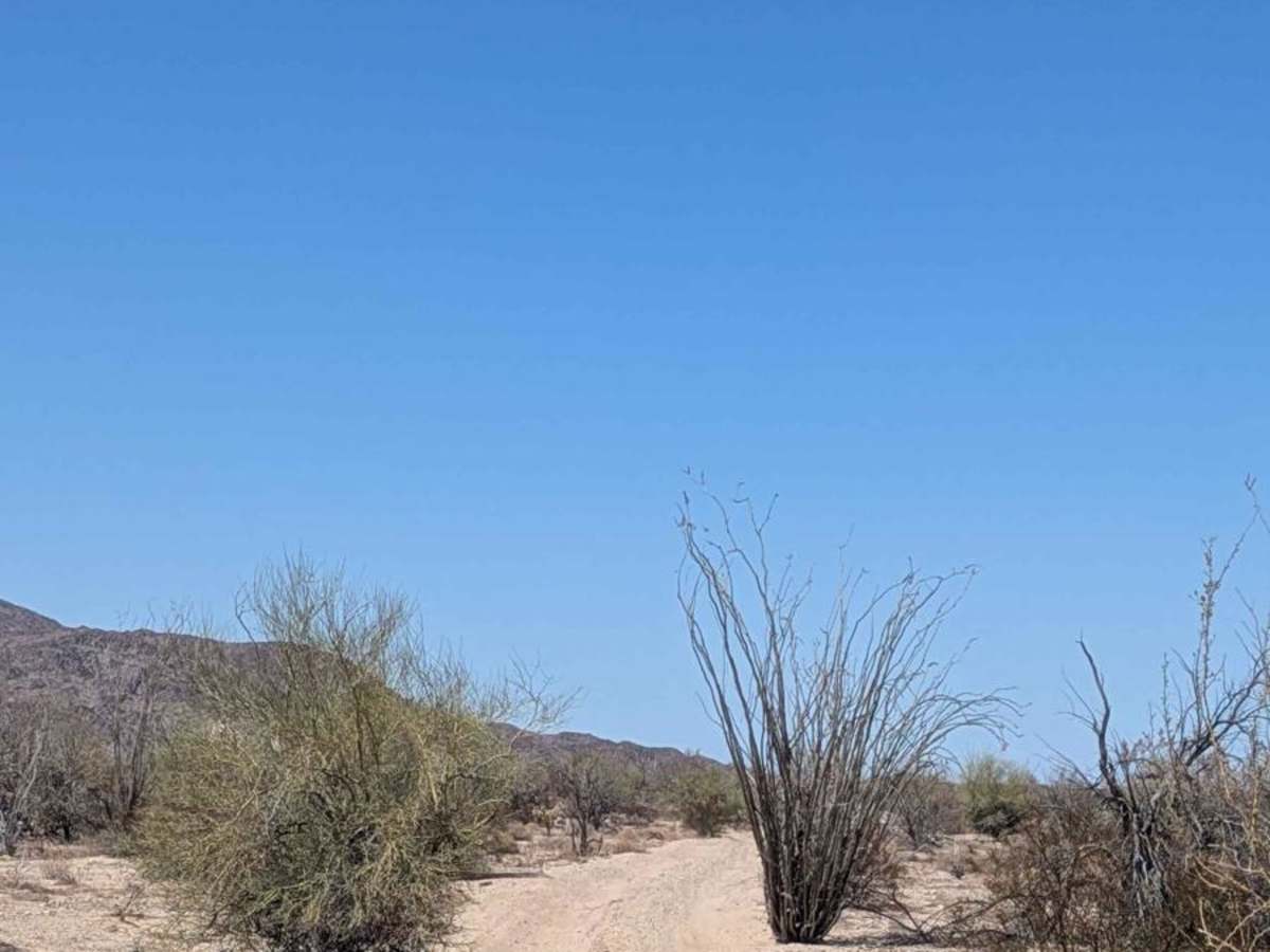 Tier Drop Trail photo 2