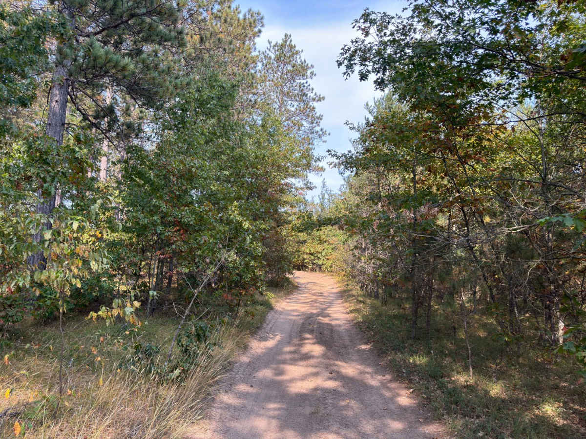Jack's Trail photo 6