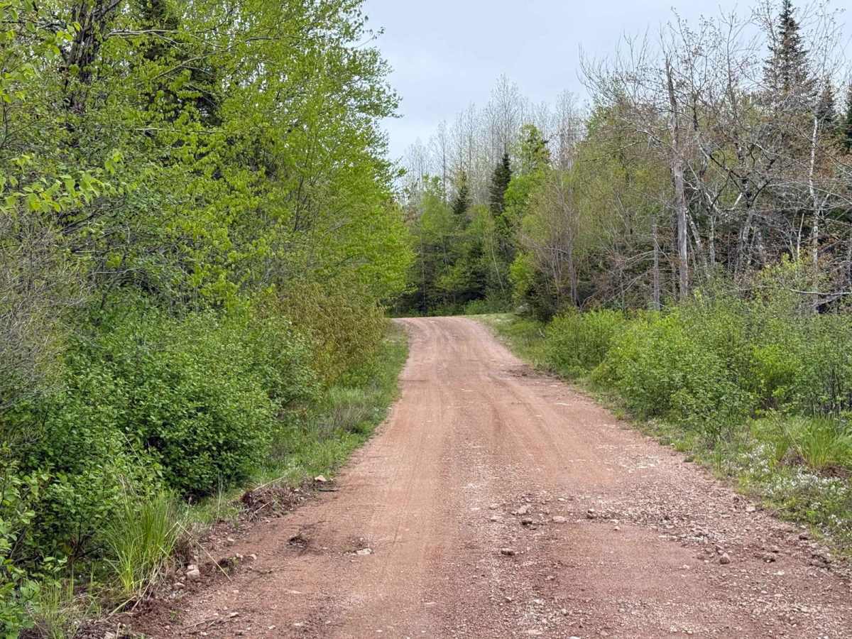 Gold River Lake Trail photo 3