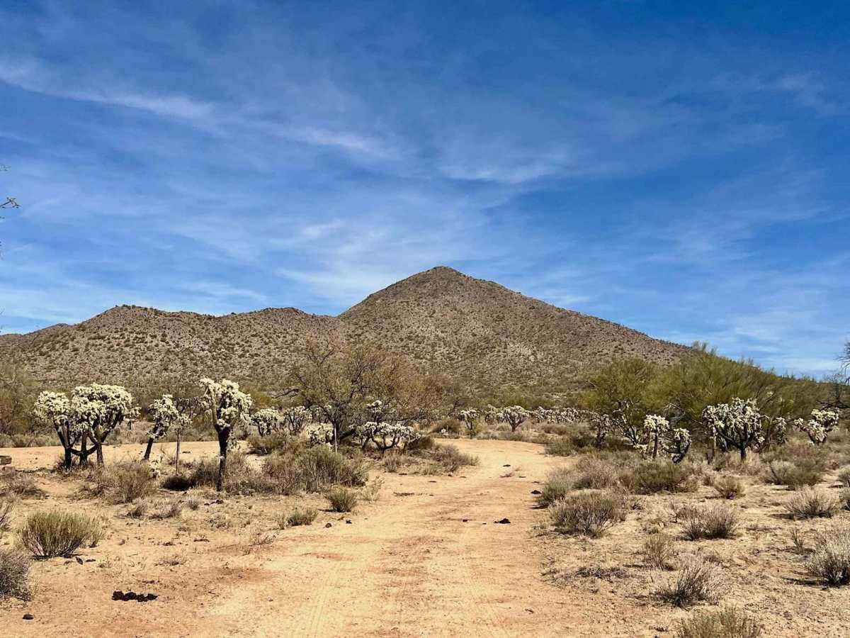 M0786 trail photo