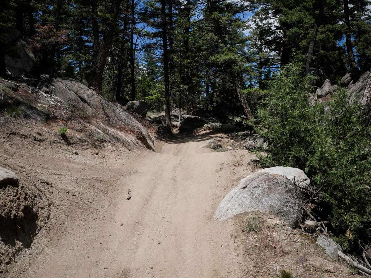 BLM 10 photo 2