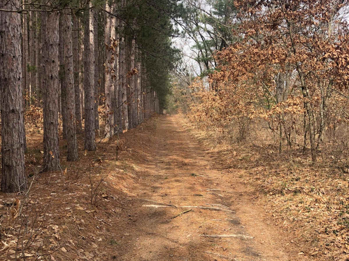 NFS Road 9453 photo 3