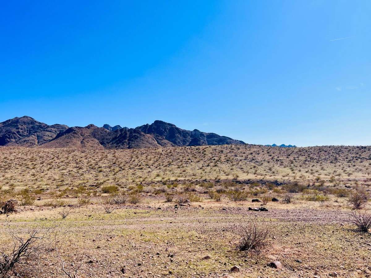 Wheeler Wagon Ridge Dispersed Camps photo 3