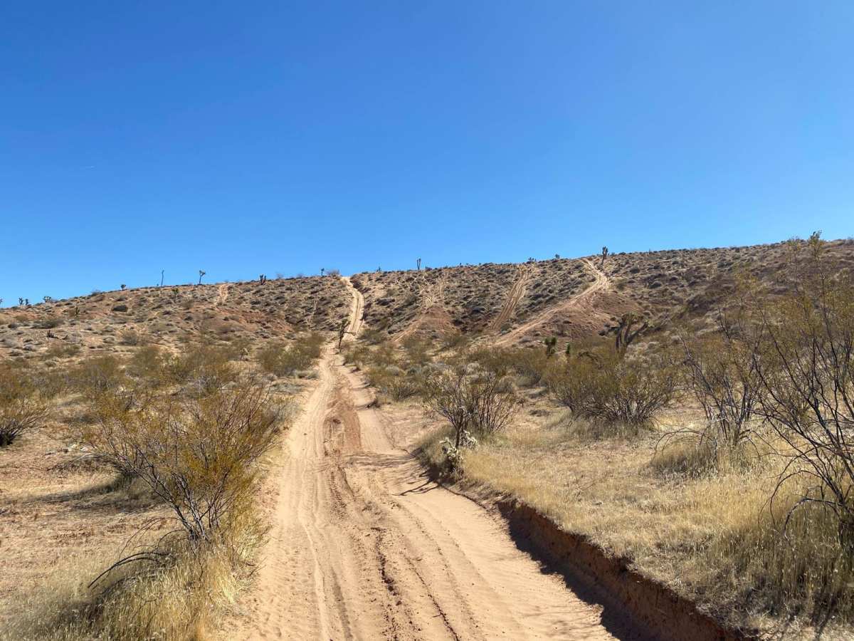 Insane in the Membrane trail photo
