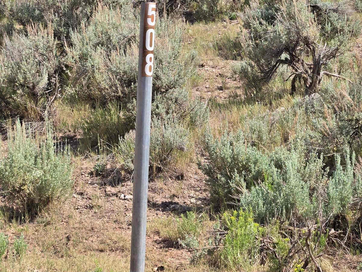 FSR 40508/ FSR 40655 Loop trail photo