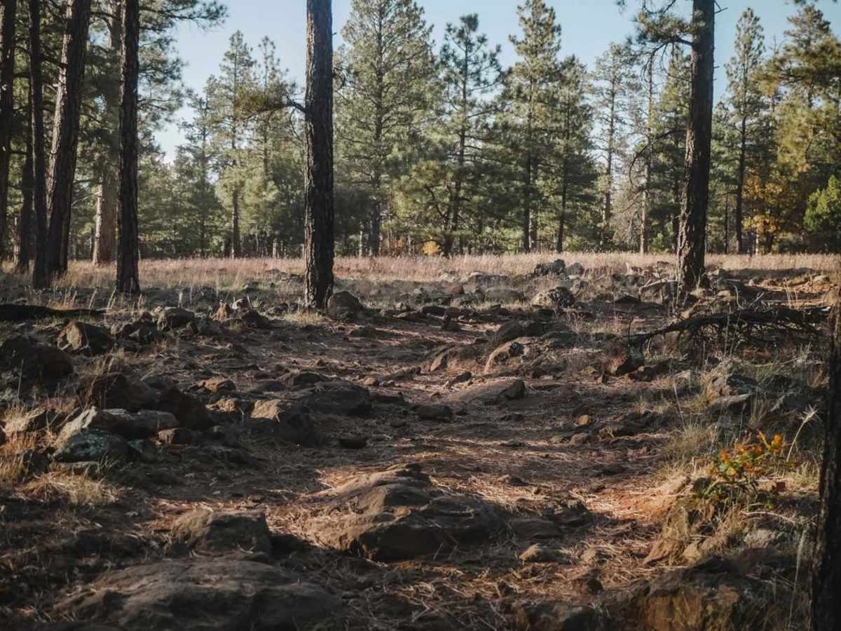 Rocky Road trail photo