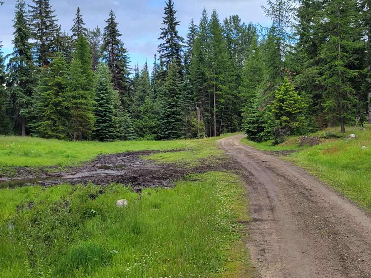 FR 3810 - Funk Mountain photo 4