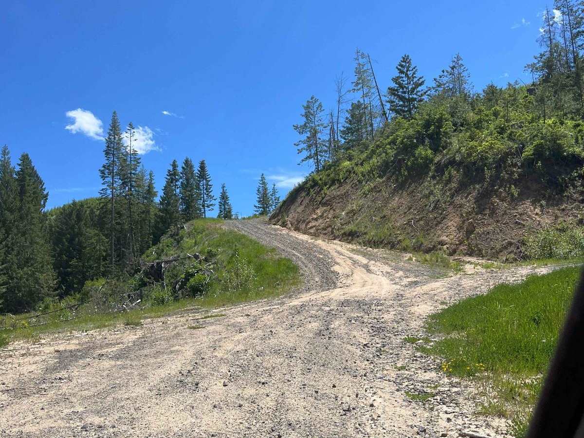 East Fork Rd - Perkins-Morris Grove photo 3