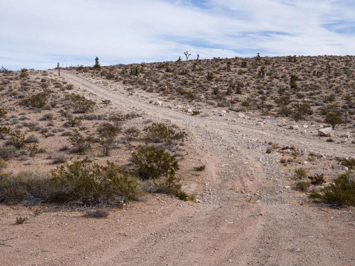 Seven Magic Mountains photo 4