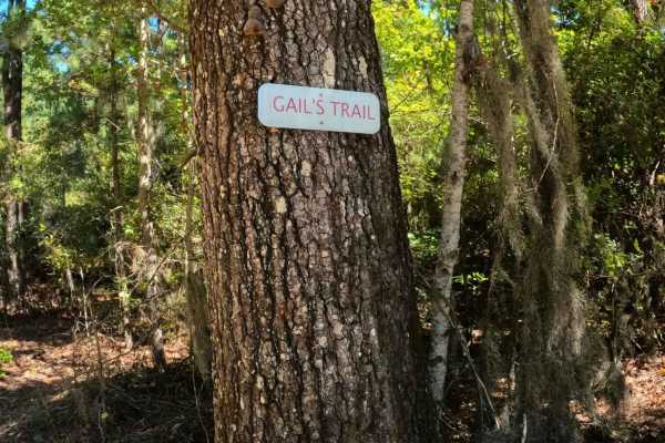 Gail's Trail