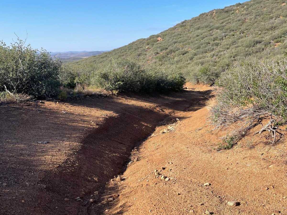 North Ambassador Mine  trail photo
