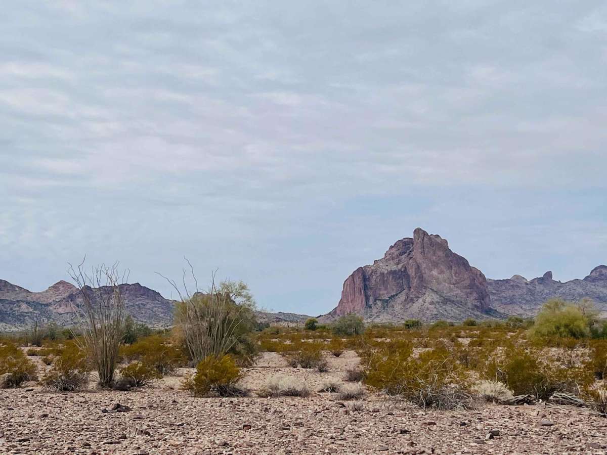 East Courthouse Rock trail photo