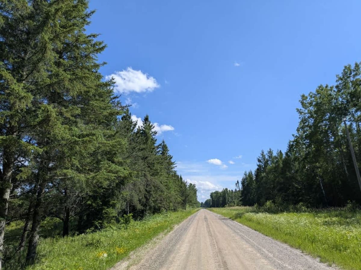 Carpenter Road photo 5