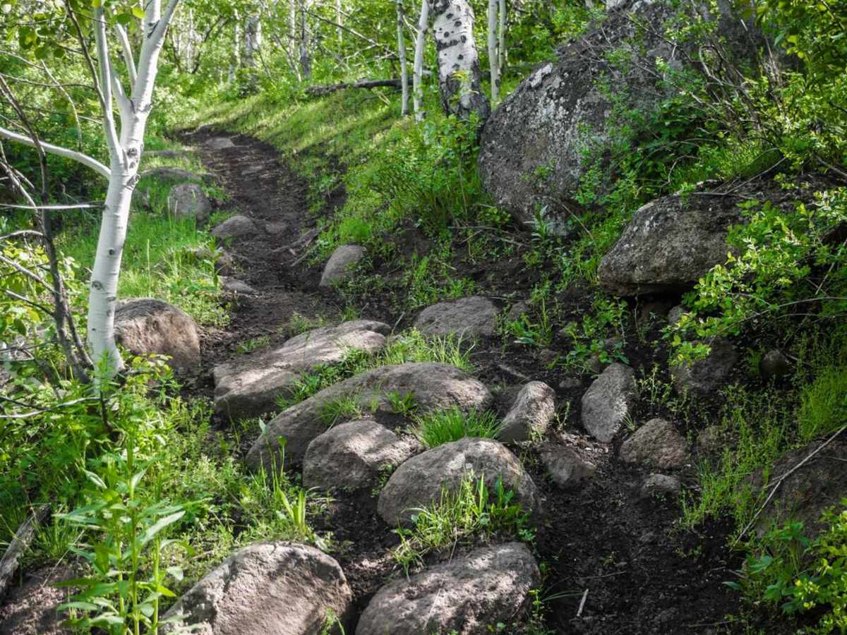 Electric trail photo