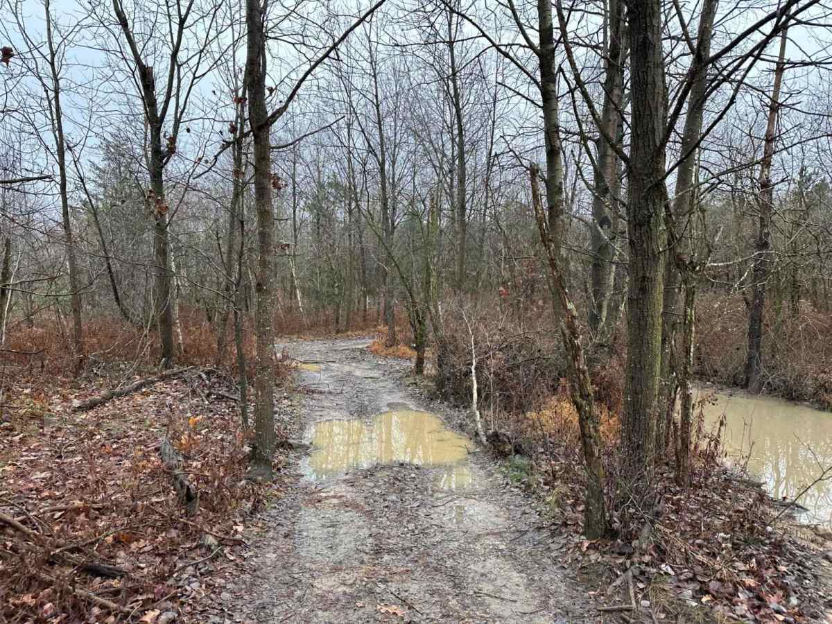 ATV Trail 42 photo 6