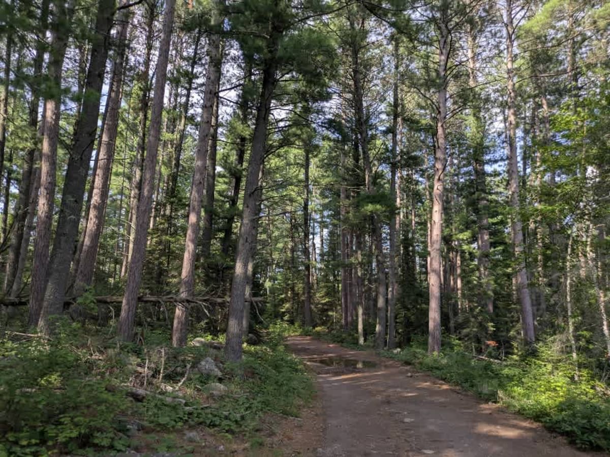 Stony River Trail photo 6