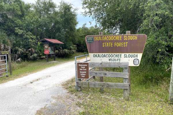 Okaloacoochee Slough