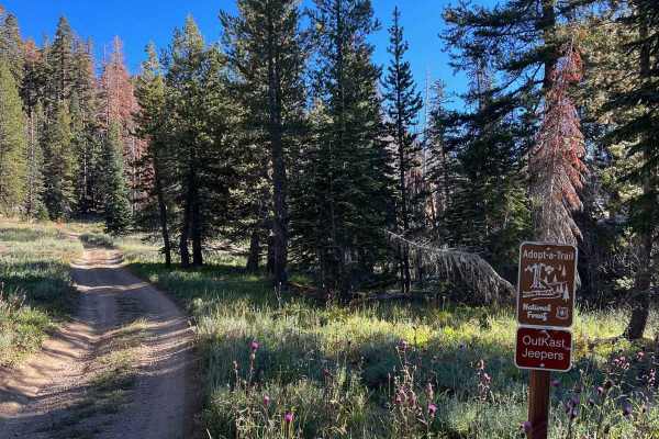 Eagle Peak 4x4 Trail