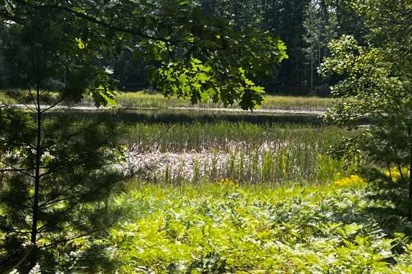 Twin Lakes Loop Trail