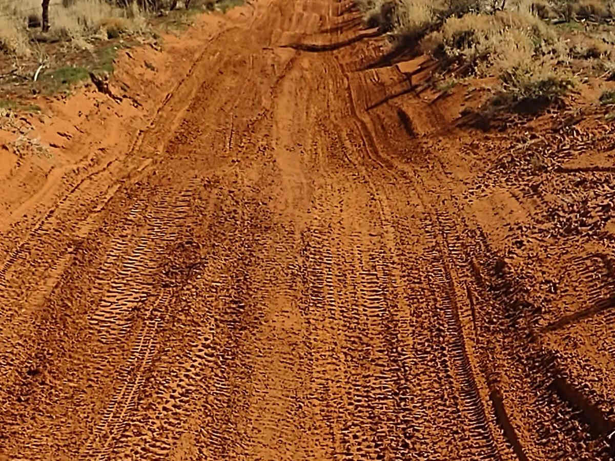 West Fenceline Whoops Central photo 3