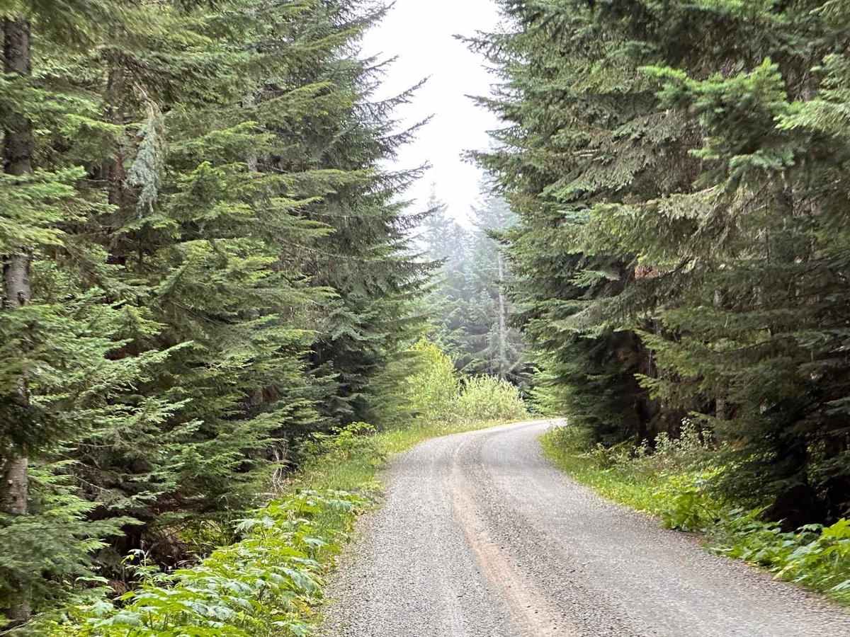 Twenty-Eight Mile Creek photo 5