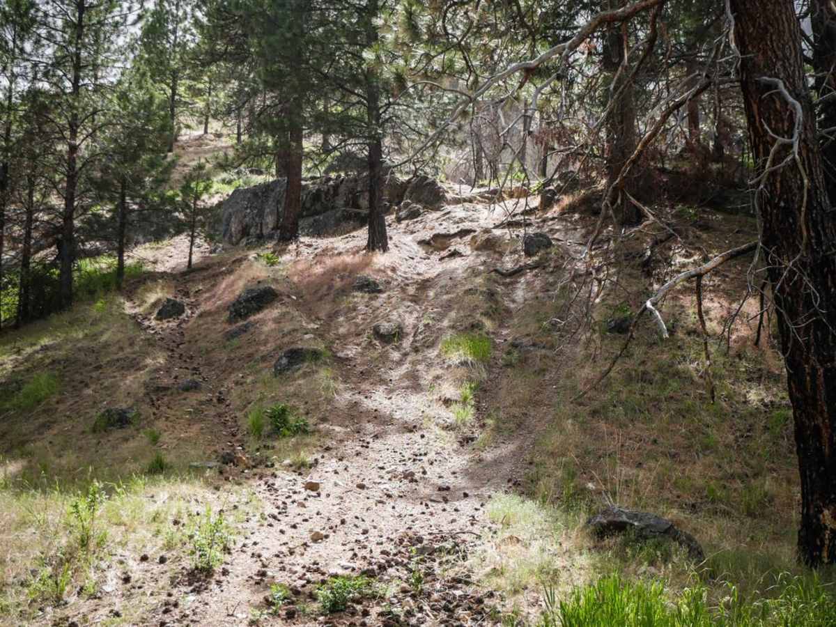 561 trail photo
