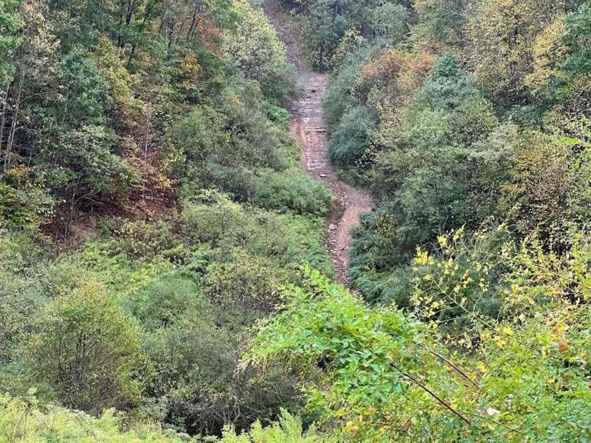 Black Hillclimb photo 3
