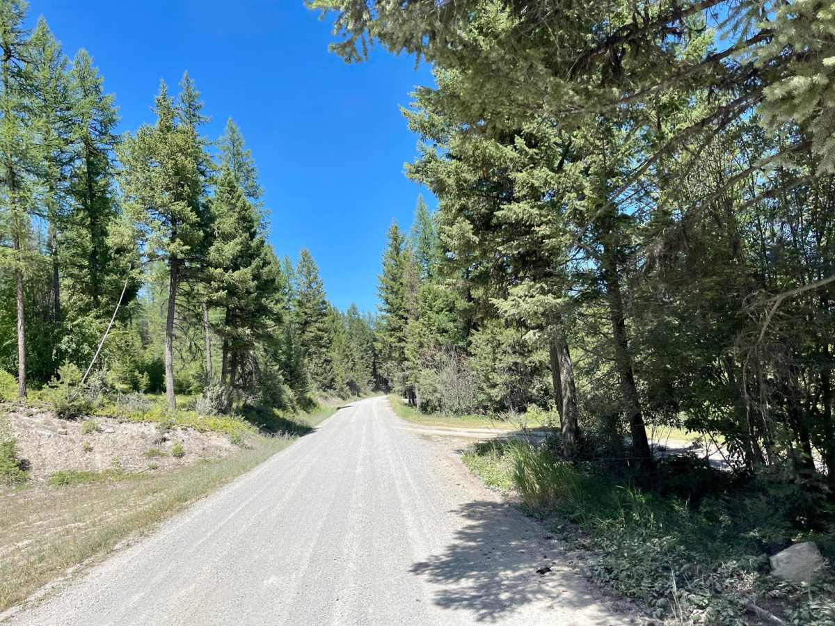 Wild Bill OHV Trailhead photo 4