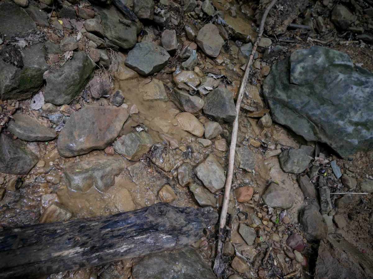 B78 photo 4
