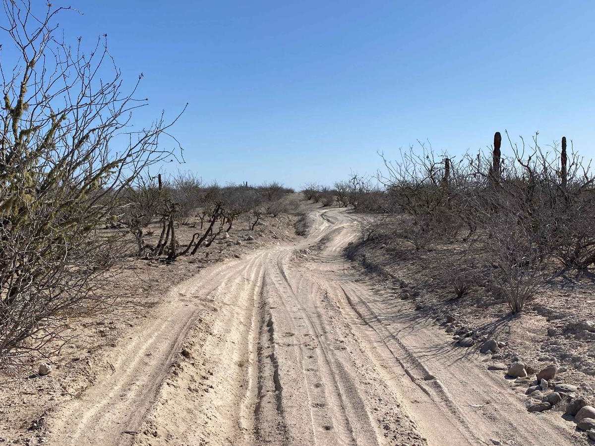 KM 131 - Middle Road photo 3