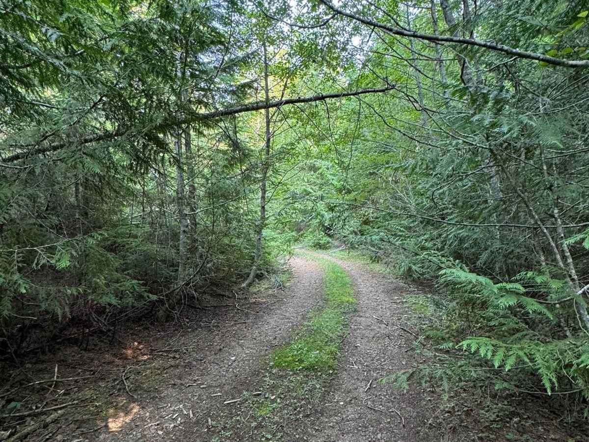 Porcupine Creek photo 5