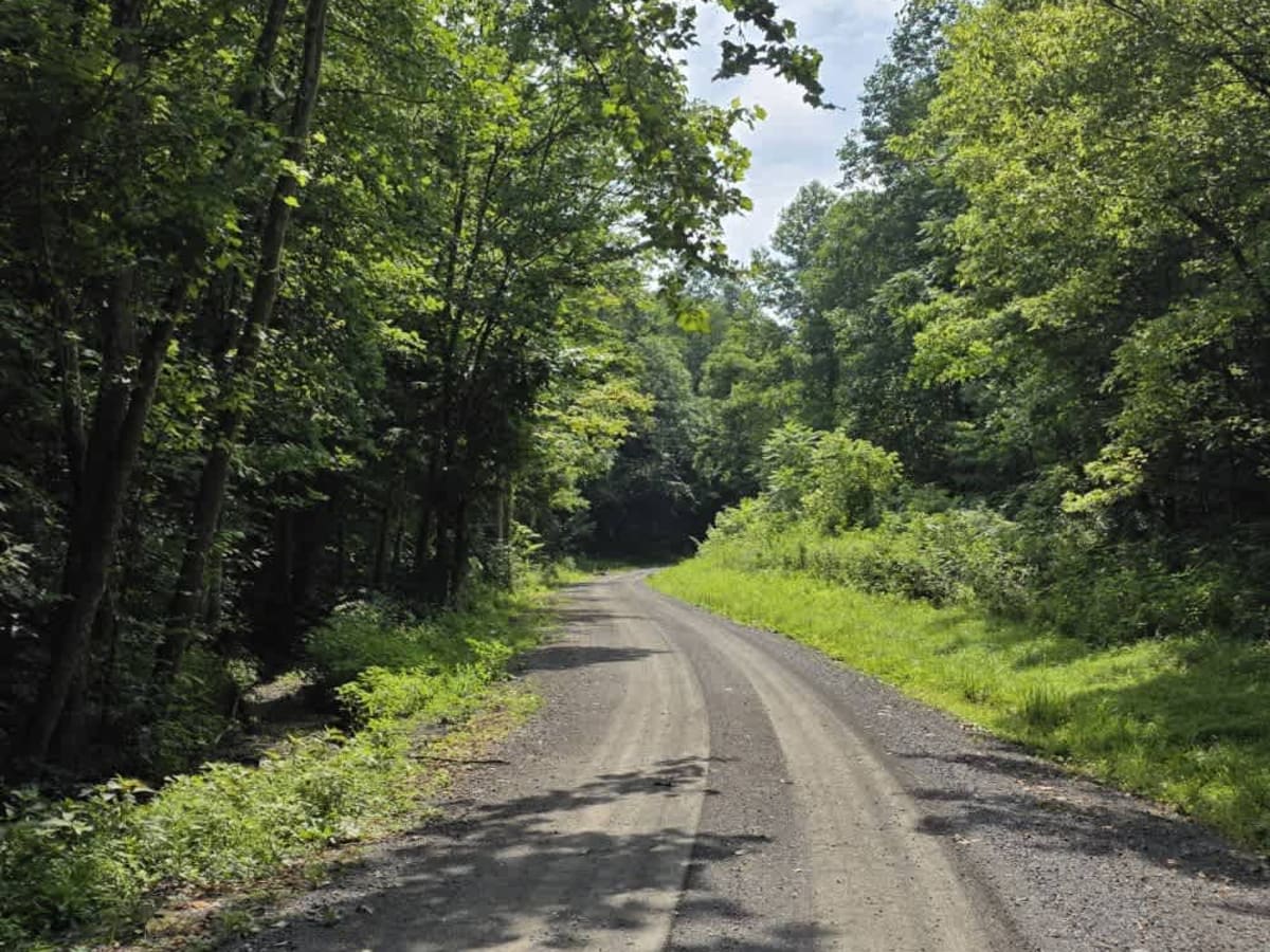 Gravley Hill Road - Macon County Tour photo 4