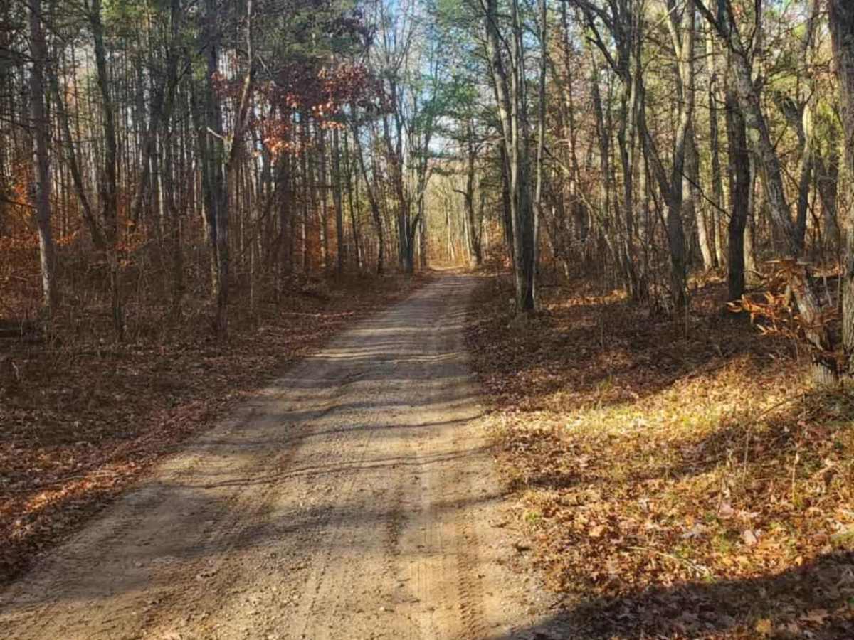 Trail 5578 photo 3