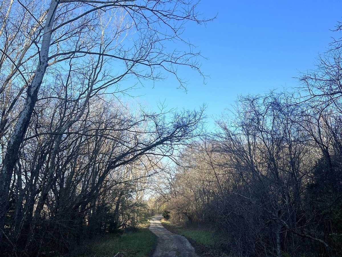 Long Creek Road photo 2
