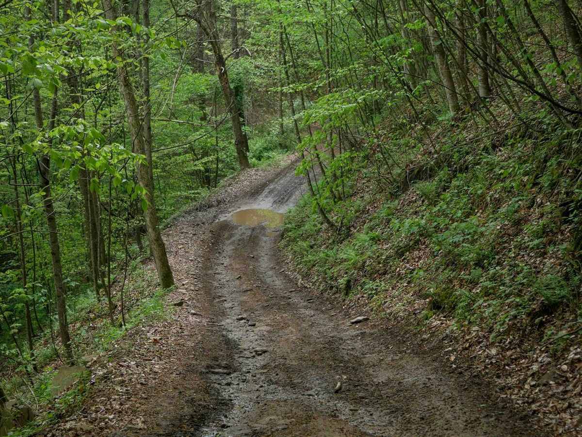 PC 33 photo 2
