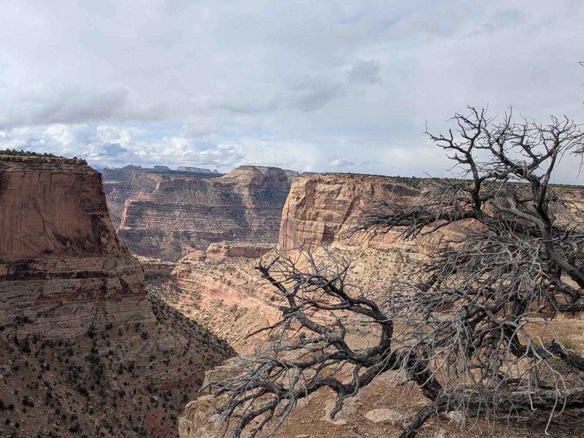 Wedge Cutoff Road - CR 406 photo 2