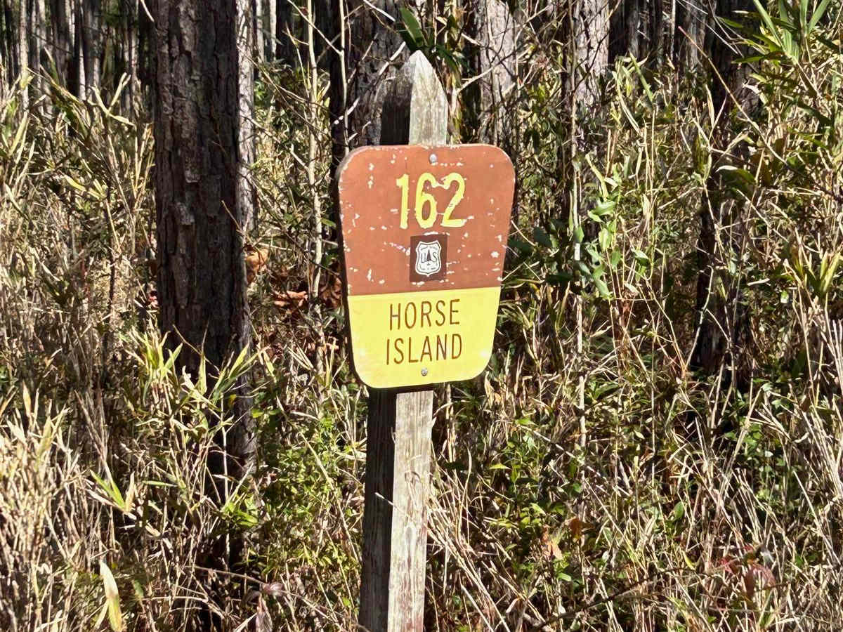 Horse Island Road - FSR162 trail photo