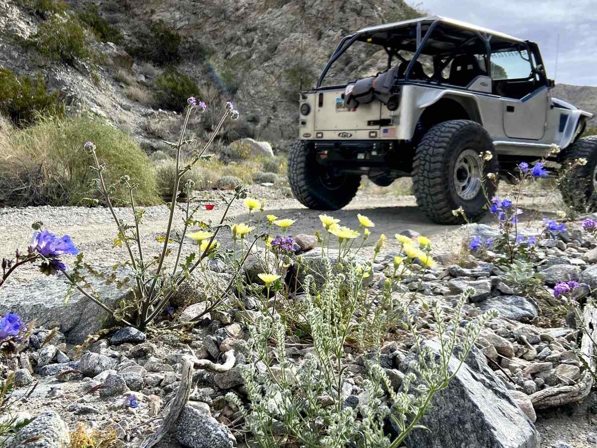 Berdoo Canyon photo 5