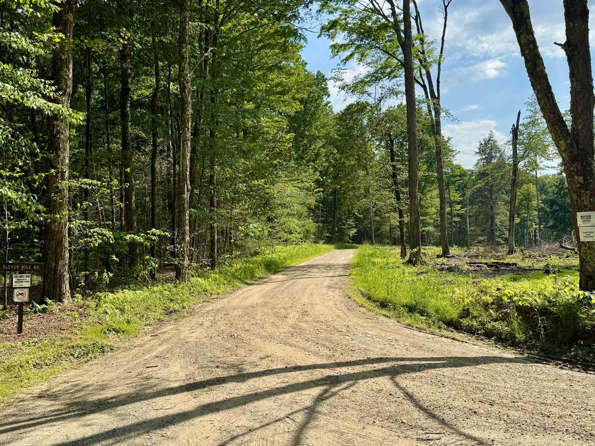 Elevenmile Road photo 2