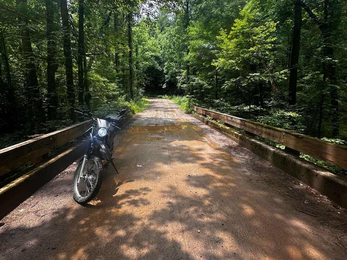 Nimblewill Branch 1 trail photo
