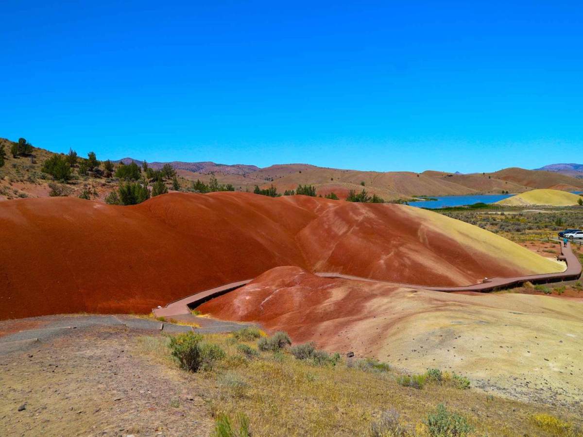 Bear Creek Road (Painted Hills Trail) trail photo