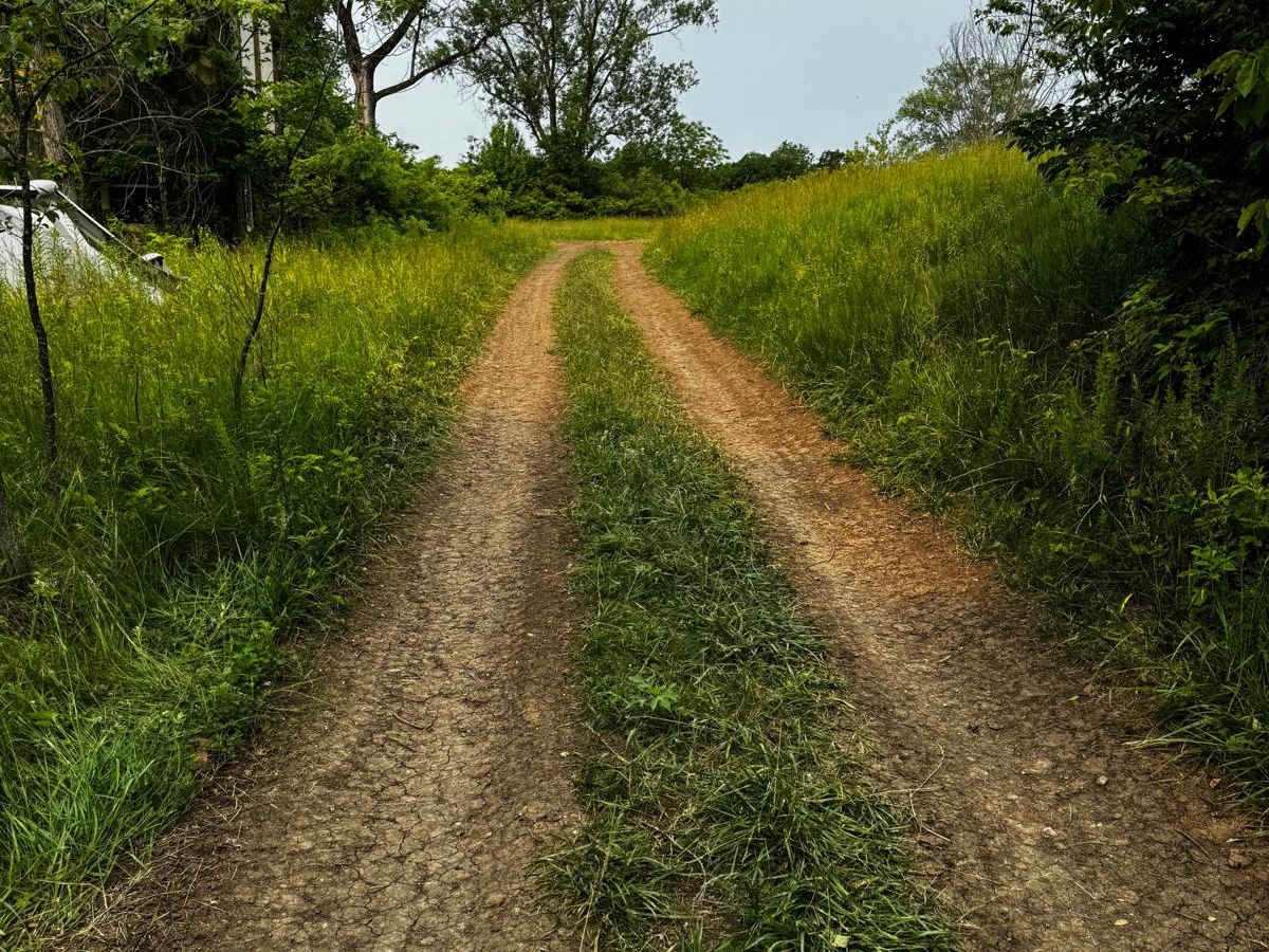 Green 52 trail photo