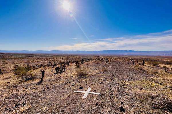 X Marks the Spot from Linda Mine