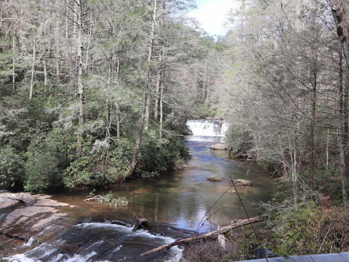Dicks Creek photo 5